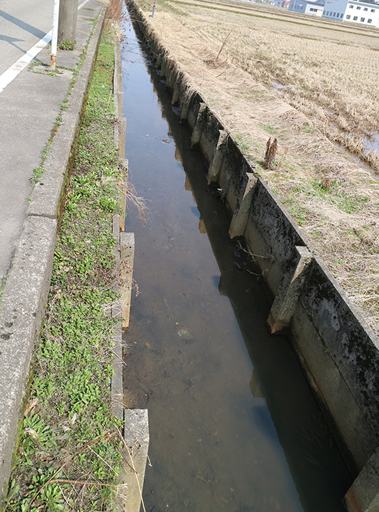 ユスリカ 対策 駆除方法 体験談