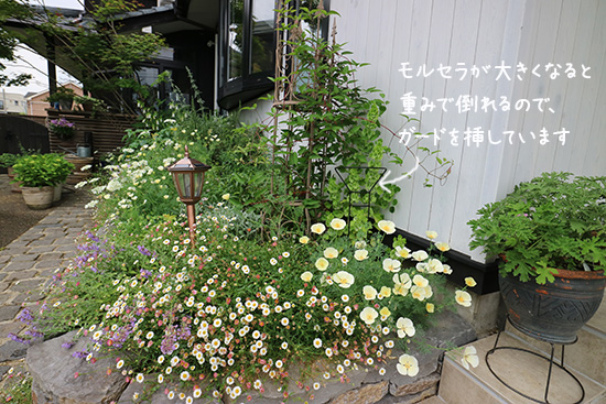 【背の高い草花 】植物が倒れる 防止 アイアン おしゃれ 画像