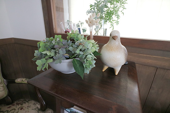 紫陽花 星がすり 花後 いける 2