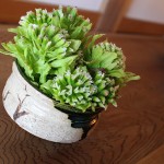 【ふきのとう】アレンジ生花(食べる前に楽しむ方法をチャレンジ)