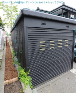 【つる植物ネットのはり方】はじめての体験談(実際の画像１)