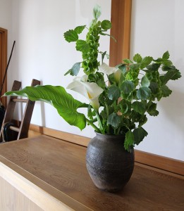 長持ちする花「モルセラ」６月に10日くらい楽しむコツ