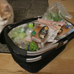 【買い物かご袋】折りたたみ式保冷バッグ・素材が丈夫でおすすめ(口コミ体験談)