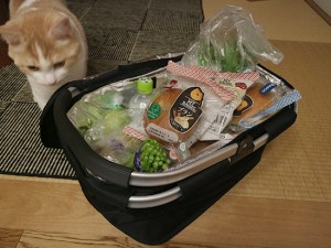 【買い物かご袋】折りたたみ式保冷バッグ・素材が丈夫でおすすめ(口コミ体験談)