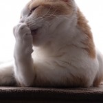 【猫の爪とぎ対策】しつけじゃなく工夫で防止できる【猫と暮らす準備②】