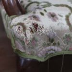 猫がソファーで爪とぎ、我が家の対策