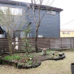【金木犀】春にパラパラと落葉!心配です原因は何?
