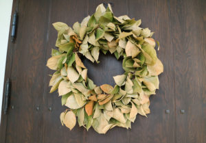 グリーンのみで作った玄関リース「生のレモンリーフ」の1ヶ月後