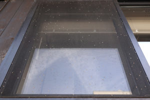 ユスリカが網戸にビッシリ！駆除・退治にはコレおすすめです