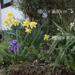 【倒れる植物を防ぐグッズ】ディノスや楽天で見栄え重視で集めました