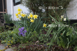 【倒れる植物を防ぐグッズ】ディノスや楽天で見栄え重視で集めました