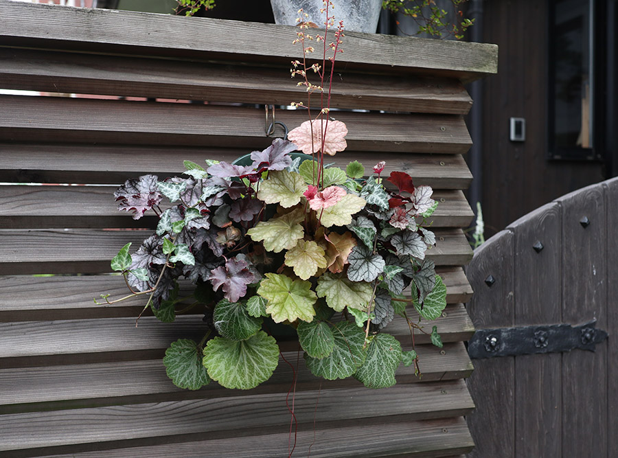 ハンギング スリット式バスケット鉢 立体的 寄せ植え 1