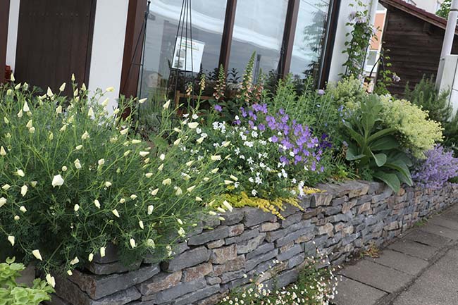 東側 ボーダーガーデン 花壇 植栽 2
