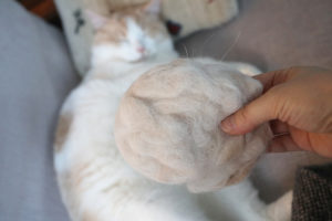 【猫の抜け毛】ブラッシングで集めた数年分を捨てずにセーターなどへ再利用？