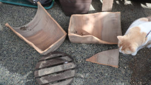 【割れた鉢植えの直し方】接着剤で簡単に自力で修理修復しました