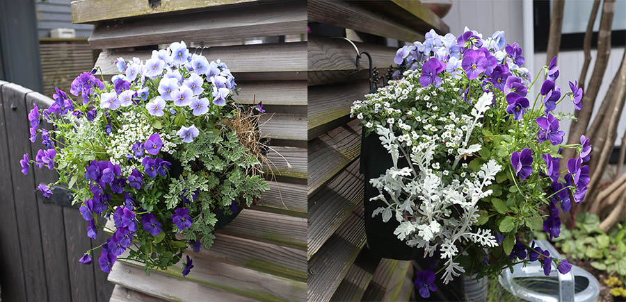 ラウンド式　丸形ハンギングバスケット　鉢がみえない