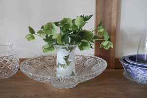 【クリスマスローズの切り花を愉しむ】とても簡単な水揚げ方法があった