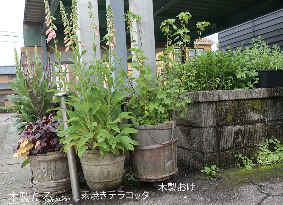 おしゃれな鉢植え　テラコッタ　木樽　木桶