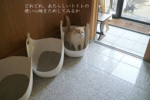 【猫のトイレ問題】深型トイレでもおしっこが飛び越える(困)解消です!